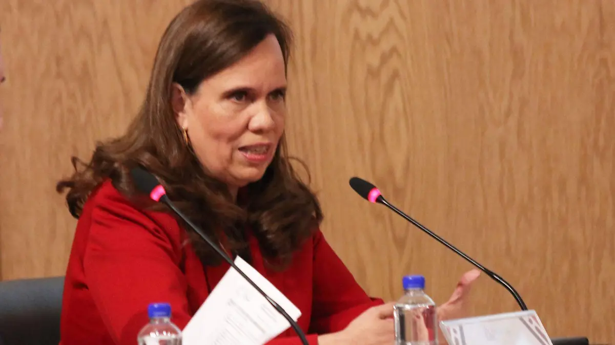 Maria de la Luz Mijangos Borja-Sistema Nacional Anticorrupcion-SNA (1)